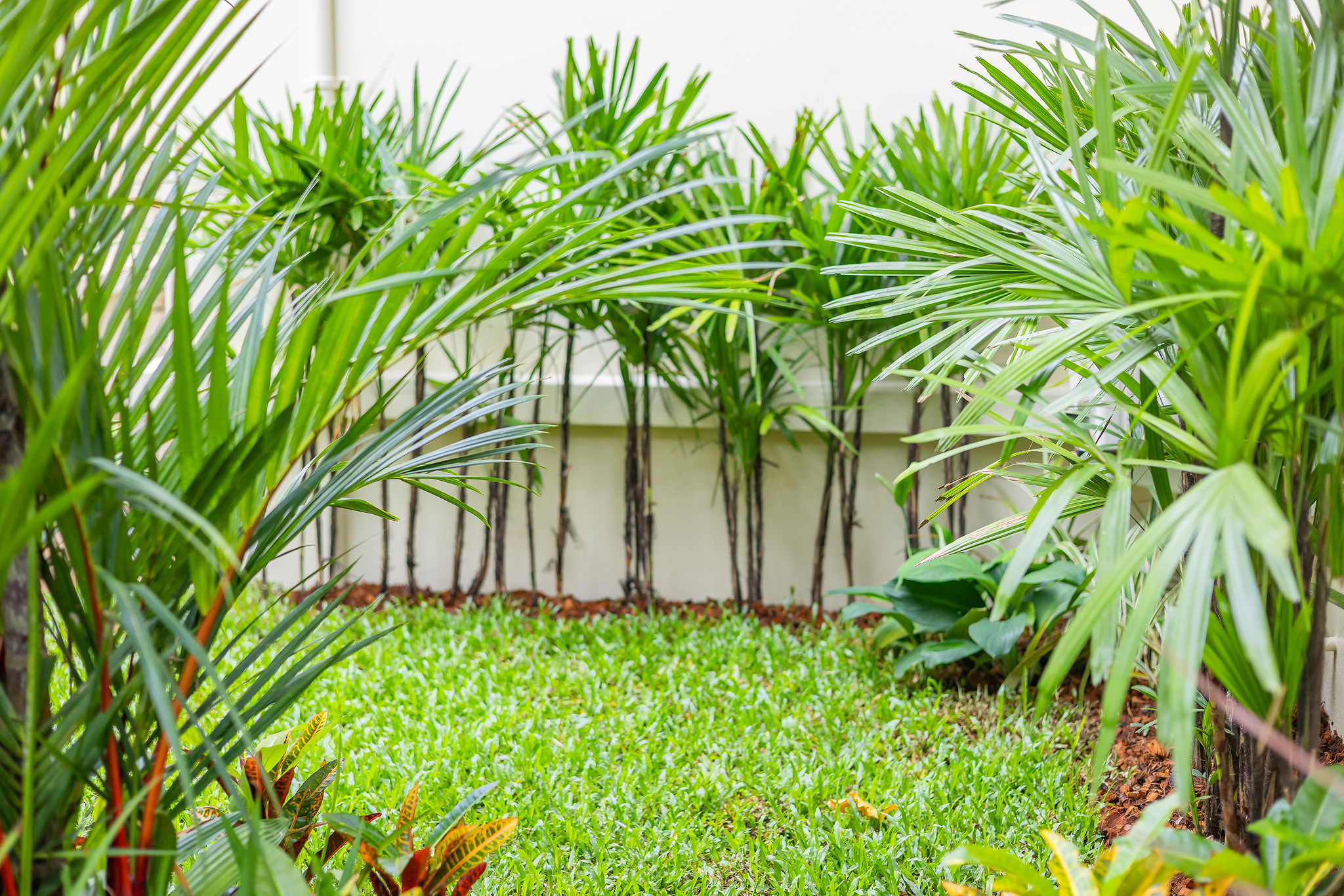 The Laytin Villa 83